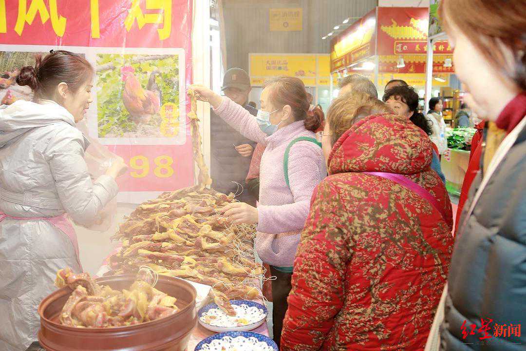 生肖马2025年专属旺岁吉祥物设计原理