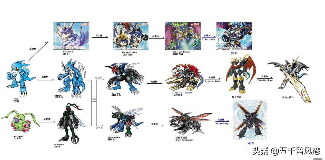 张歆艺：成长的“代价”丨人物