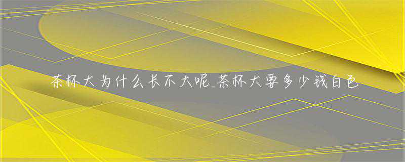 “家庭和睦，运势更好”：培养这5种好习惯，让家庭更幸福