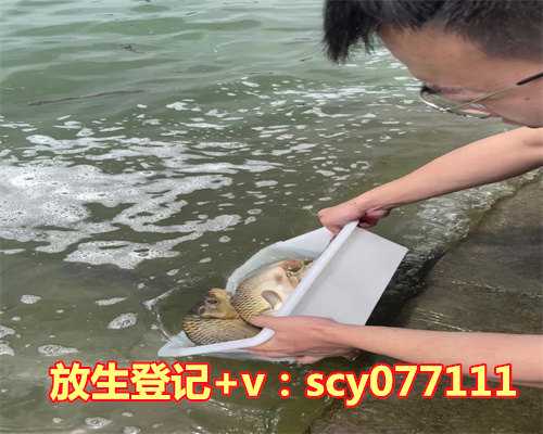 风水轮流转！人生赢家秘诀竟是什么？