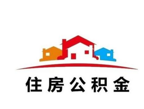 遇见皆是上上签：见鹿好运，见鹿得福，见鹿发财，万事顺遂