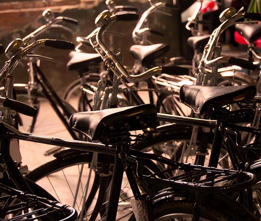 4月25日生肖猪运势大解析：把握机遇，拥抱生活