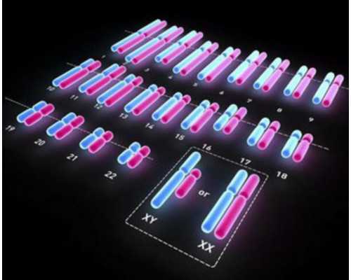 遇见貔貅 ，霉运就像秋天的落叶一样被风扫得干干净净，财运狂飙