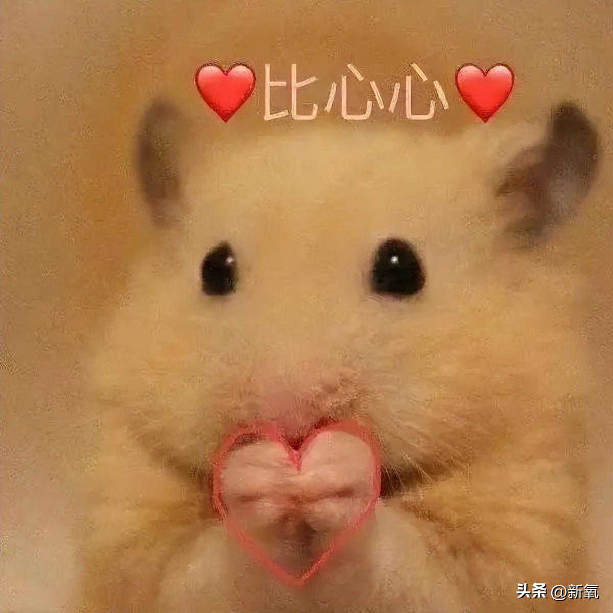 寅虎速看！五一前后三大天禧降临，错过这波福气再等12年！