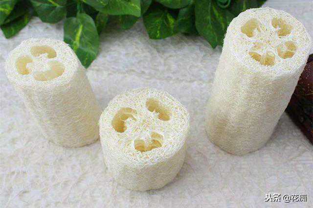 生肖星座深度解码：兔与双子—温柔小能手遇上机灵鬼