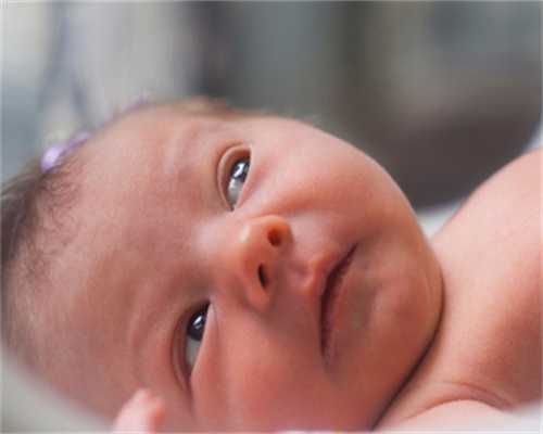 鼠鼠鼠：遇春风得意的喜事，吉星汇聚，运程全面开花！