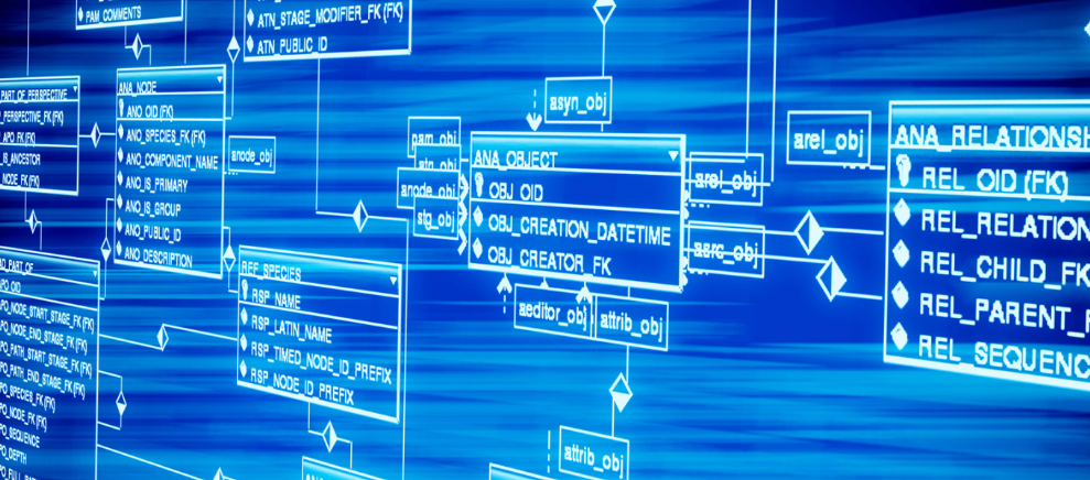 塔罗秘境运势网